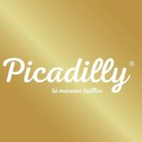 Picadilly Store Panamá | Construex