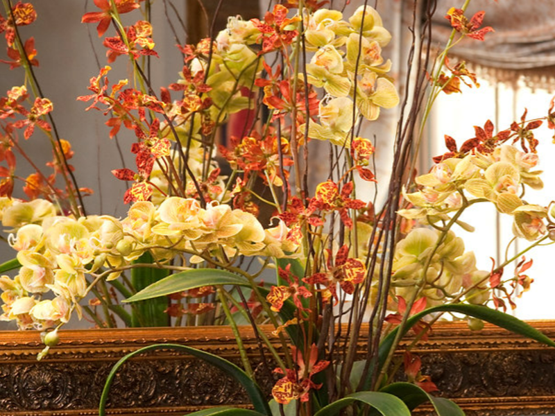 Arreglo floral orquidea verde - SOS Décor | Construex