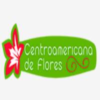 Centroamericana de Flores | Construex